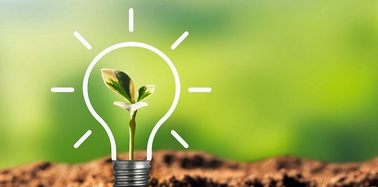 Sustainability